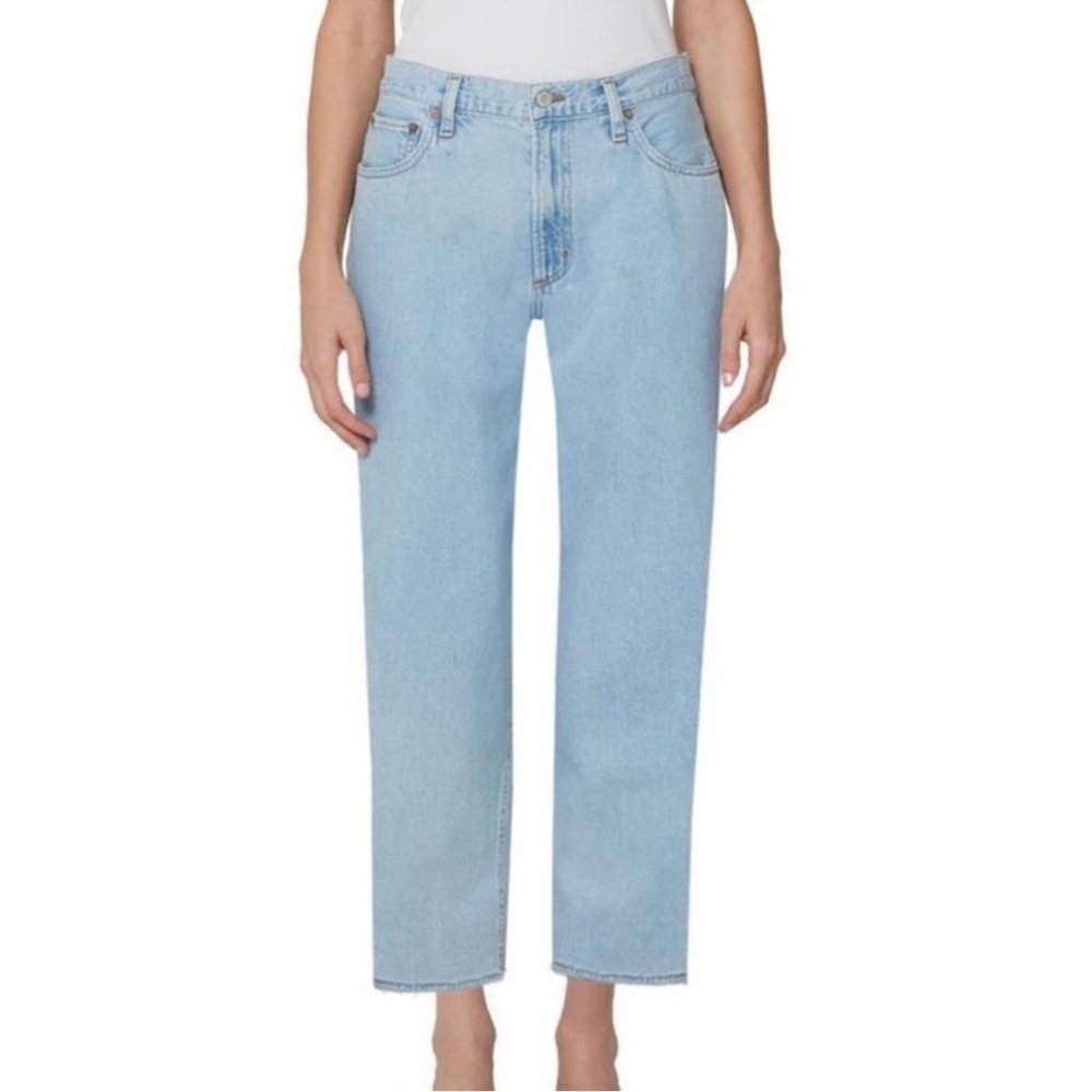 Nwt Agolde Parker Jean Button Fly In Sight Size 29
